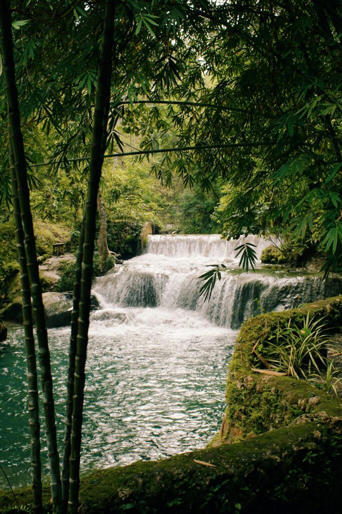 pexels alexisricardoalaurin 33258471 copy